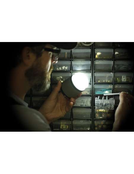 tor42ti-7.jpg tor42ti-7.jpg